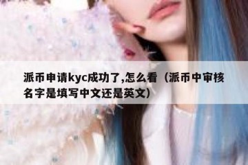 派币申请kyc成功了,怎么看（派币中审核名字是填写中文还是英文）