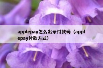 applepay怎么出示付款码（applepay付款方式）