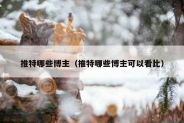 推特哪些博主（推特哪些博主可以看比）