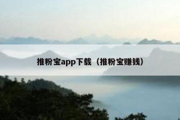 推粉宝app下载（推粉宝赚钱）