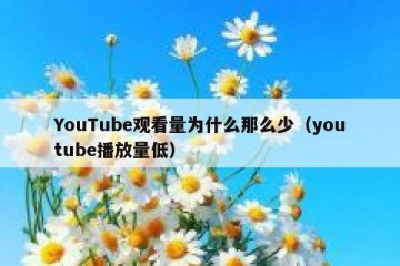 YouTube观看量为什么那么少（youtube播放量低）