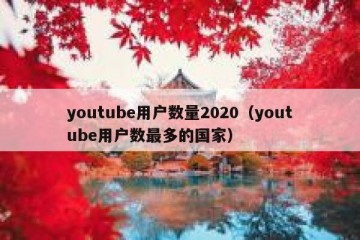 youtube用户数量2020（youtube用户数最多的国家）