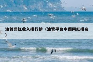 油管网红收入排行榜（油管平台中国网红排名）