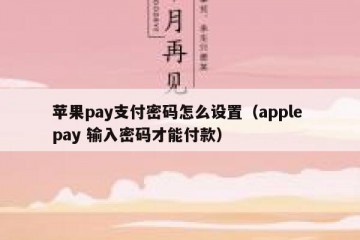 苹果pay支付密码怎么设置（apple pay 输入密码才能付款）