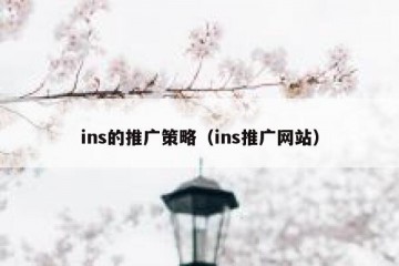 ins的推广策略（ins推广网站）