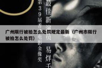 广州限行被拍怎么处罚规定最新（广州市限行被拍怎么处罚）