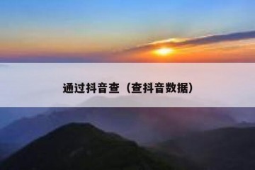 通过抖音查（查抖音数据）