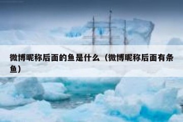 微博昵称后面的鱼是什么（微博昵称后面有条鱼）