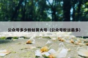 公众号多少粉丝算大号（公众号粉丝最多）