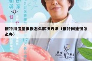 推特用流量很慢怎么解决方法（推特网速慢怎么办）