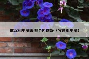 武汉租电脑去哪个网站好（宜昌租电脑）