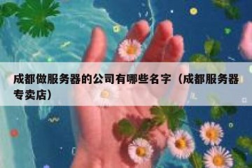 成都做服务器的公司有哪些名字（成都服务器专卖店）