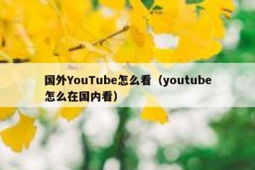 国外YouTube怎么看（youtube怎么在国内看）