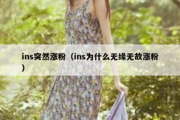 ins突然涨粉（ins为什么无缘无故涨粉）