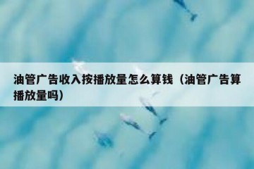 油管广告收入按播放量怎么算钱（油管广告算播放量吗）
