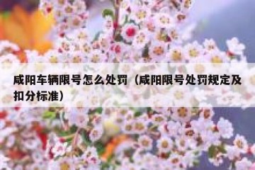 咸阳车辆限号怎么处罚（咸阳限号处罚规定及扣分标准）