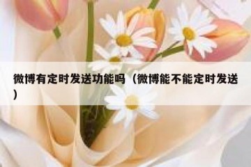 微博有定时发送功能吗（微博能不能定时发送）