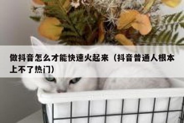 做抖音怎么才能快速火起来（抖音普通人根本上不了热门）