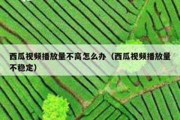 西瓜视频播放量不高怎么办（西瓜视频播放量不稳定）