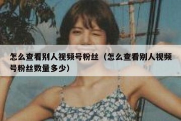 怎么查看别人视频号粉丝（怎么查看别人视频号粉丝数量多少）
