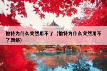 推特为什么突然用不了（推特为什么突然用不了网络）