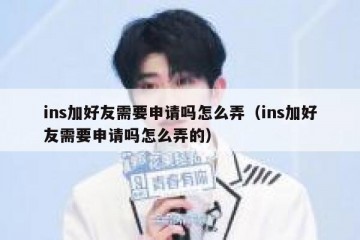 ins加好友需要申请吗怎么弄（ins加好友需要申请吗怎么弄的）