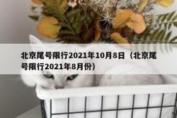 北京尾号限行2021年10月8日（北京尾号限行2021年8月份）
