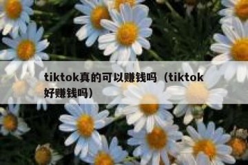 tiktok真的可以赚钱吗（tiktok好赚钱吗）