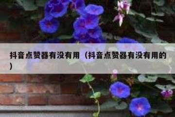 抖音点赞器有没有用（抖音点赞器有没有用的）