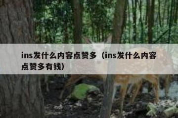 ins发什么内容点赞多（ins发什么内容点赞多有钱）