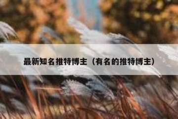 最新知名推特博主（有名的推特博主）