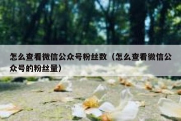 怎么查看微信公众号粉丝数（怎么查看微信公众号的粉丝量）