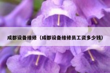 成都设备维修（成都设备维修员工资多少钱）