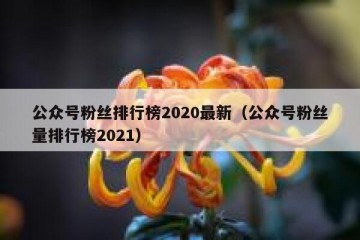 公众号粉丝排行榜2020最新（公众号粉丝量排行榜2021）