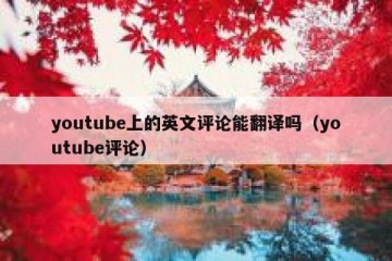 youtube上的英文评论能翻译吗（youtube评论）