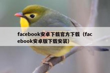 facebook安卓下载官方下载（facebook安卓版下载安装）