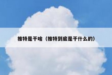 推特是干啥（推特到底是干什么的）