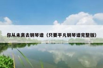 你从未离去钢琴谱（只要平凡钢琴谱完整版）