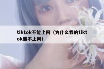 tiktok不能上网（为什么我的tiktok连不上网）