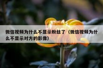 微信视频为什么不显示粉丝了（微信视频为什么不显示对方的影像）