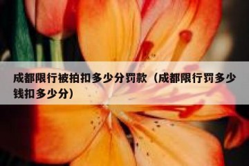 成都限行被拍扣多少分罚款（成都限行罚多少钱扣多少分）
