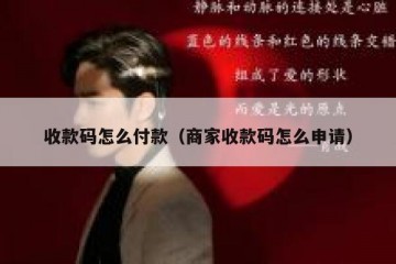 收款码怎么付款（商家收款码怎么申请）