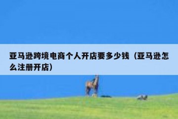 亚马逊跨境电商个人开店要多少钱（亚马逊怎么注册开店）