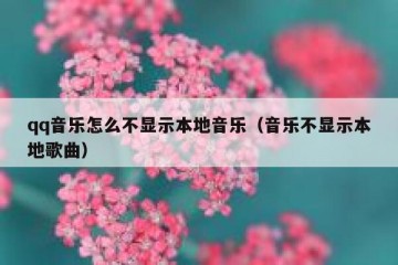 qq音乐怎么不显示本地音乐（音乐不显示本地歌曲）