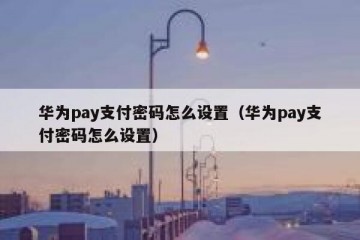 华为pay支付密码怎么设置（华为pay支付密码怎么设置）