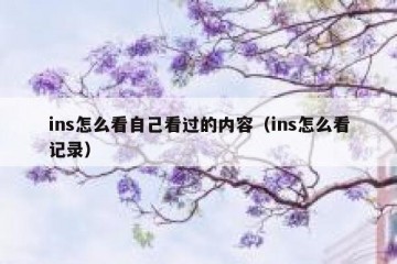 ins怎么看自己看过的内容（ins怎么看记录）