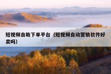 短视频自助下单平台（短视频自动营销软件好卖吗）