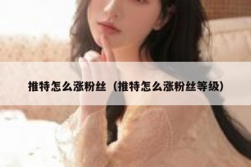 推特怎么涨粉丝（推特怎么涨粉丝等级）