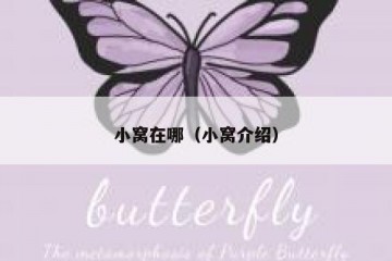 小窝在哪（小窝介绍）