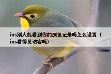 ins别人能看到你的浏览记录吗怎么设置（ins看得见访客吗）